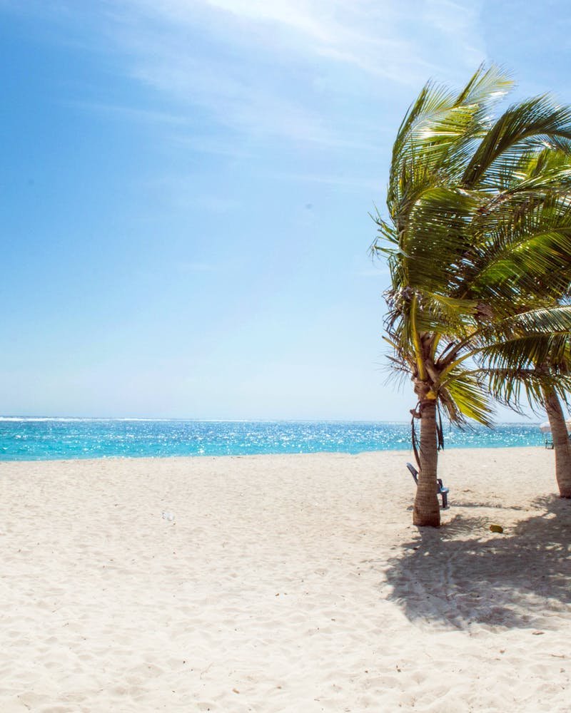 Aruba tropisch paradijs